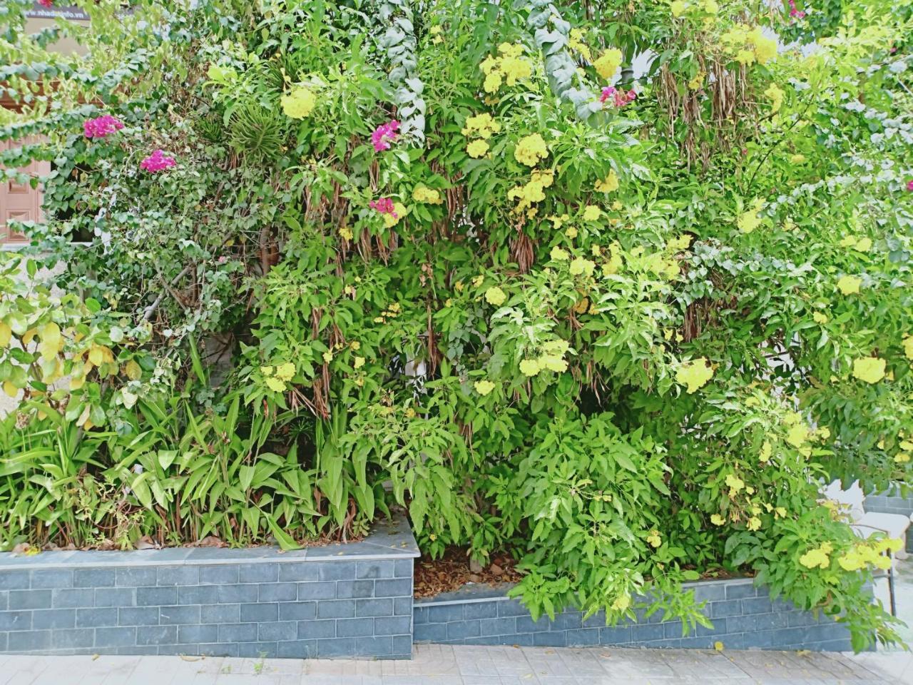 Nha Trang Star Villa Hotel Szoba fotó